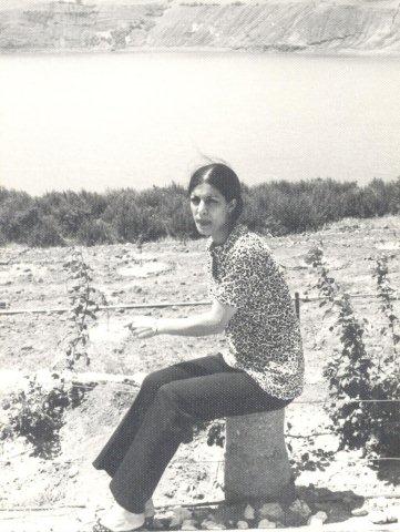 84